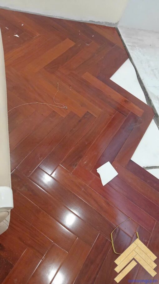 Sàn gỗ Căm Xe xương cá