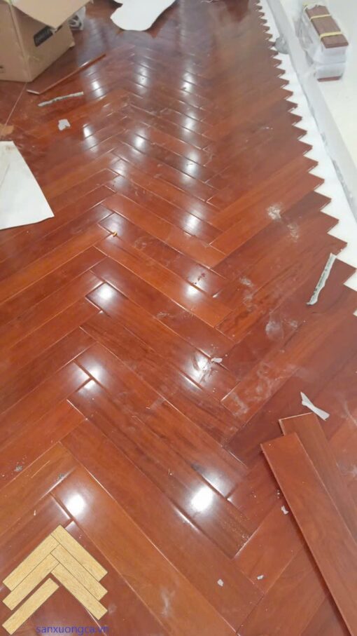 Sàn gỗ Căm Xe xương cá